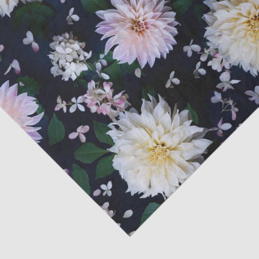 Dahlia Flower Blooms blush on black Tissuepapier (Detail)