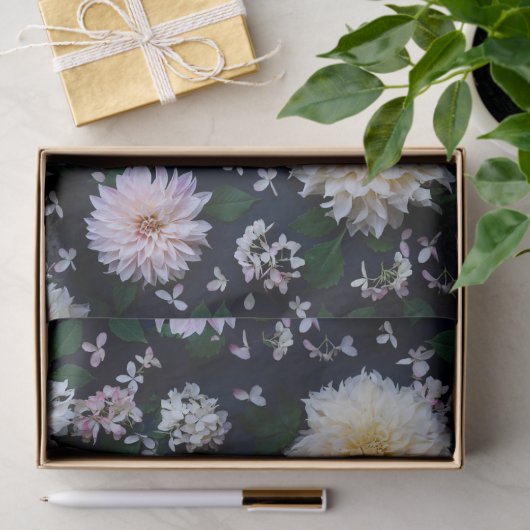Dahlia Flower Blooms blush on black Tissuepapier (Geschenk)