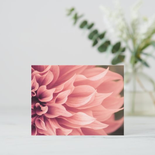 Dahlia Flower Blossom Briefkaart (Staand voorkant)