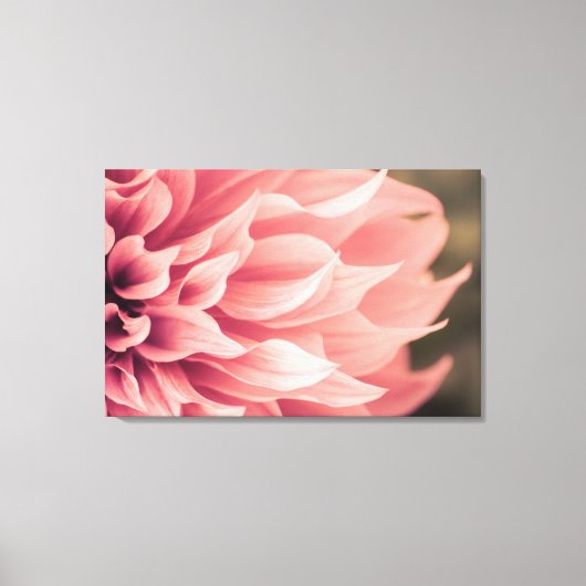 Dahlia Flower Blossom Canvas Afdruk (Voorkant)