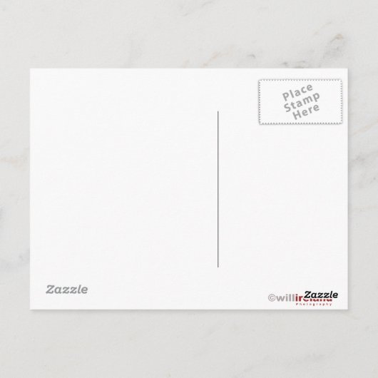 Dahlia Flower Briefkaart (Achterkant)