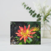 Dahlia flower briefkaart (Staand voorkant)