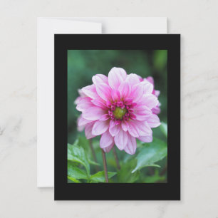 Dahlia flower briefkaart