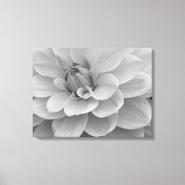 Dahlia Flower Canvas Afdrukken
