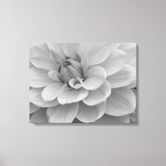 Dahlia Flower Canvas Afdrukken (Voorkant)