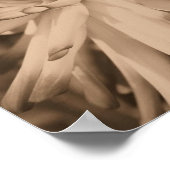 Dahlia Flower Dichtbij in sepia Poster (Hoek)