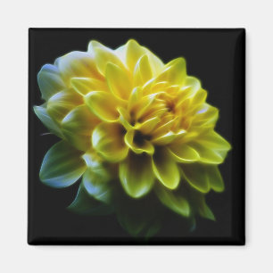 Dahlia flower en betekenis magneet