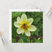 Dahlia flower en bijen kaart (Voorkant / Achterkant in situ)