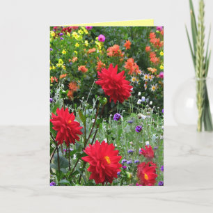 Dahlia Flower Garden Birthday Kaart