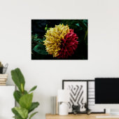 Dahlia flower poster (Thuiskantoor)