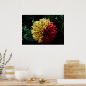 Dahlia flower poster (Keuken)
