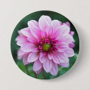 Dahlia flower ronde button 7,6 cm