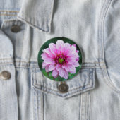 Dahlia flower ronde button 7,6 cm (In situ)