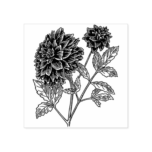 Dahlia Flower Rubber Stamp Rubberstempel (Afrduk)