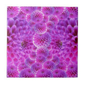 Dahlia Flower Tegeltje (Voorkant)