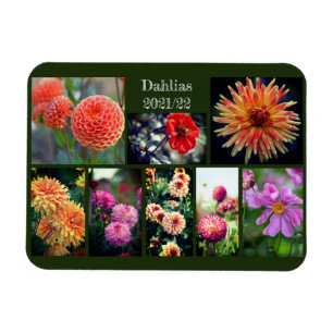 Dahlia Flowers Acht foto Personal Collage Magneet