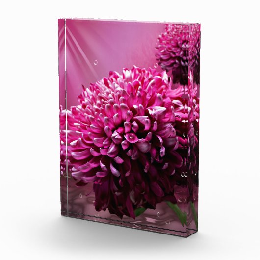 Dahlia Flowers Fotoblokken (Rechts)