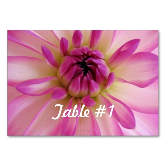 Dahlia Flowers Kaart (Voorkant)