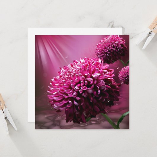 Dahlia Flowers Kaart (Voorkant / Achterkant in situ)