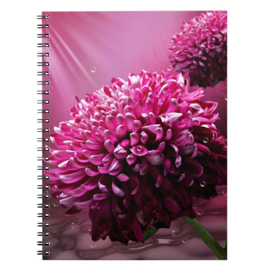Dahlia Flowers Notitieboek (Voorkant)
