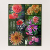 Dahlia Flowers Seven Photo Collage 520pc Jigzaag P Legpuzzel (Verticaal)