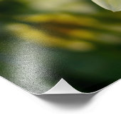Dahlia Foto Print Afdruk (Hoek)