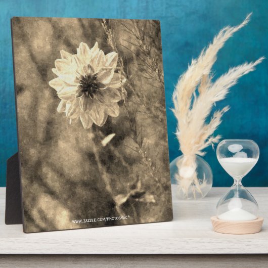 Dahlia Fotoplaat (Zijkant)