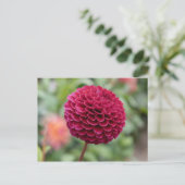 Dahlia Fuschia Briefkaart (Staand voorkant)