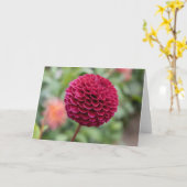Dahlia Fuschia Kaart (Gele Bloem)