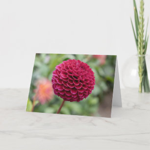 Dahlia Fuschia Kaart