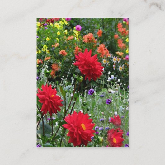 Dahlia Garden ATC Visitekaartje (Voorkant)