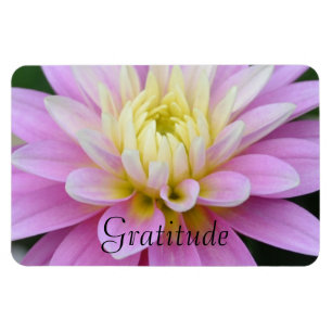 Dahlia Gratitude Magnet Magneet