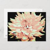 Dahlia - Honeymoon - bleke zwarte perziken Briefkaart (Voorkant / Achterkant)