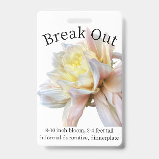 Dahlia ID-badge uit de verpakking Badge