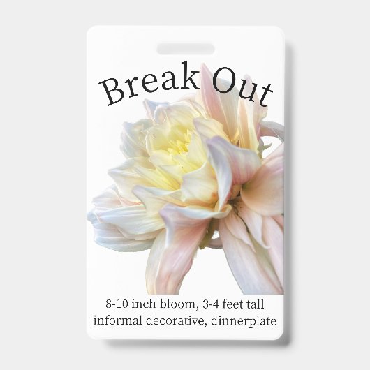 Dahlia ID-badge uit de verpakking Badge (Voorzijde)