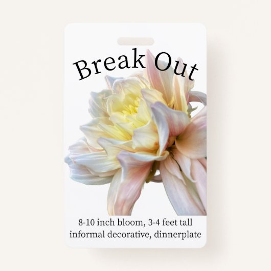Dahlia ID Badge uitsplitsen (Voorkant)