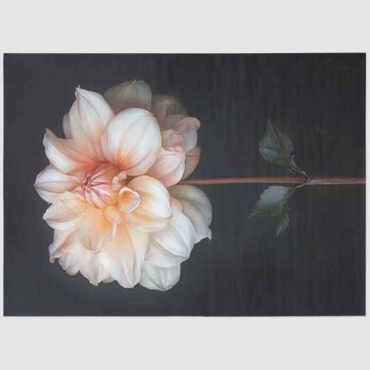 Dahlia in Bloom Botanische Schilderij Decoupage Tissuepapier (Voorkant)