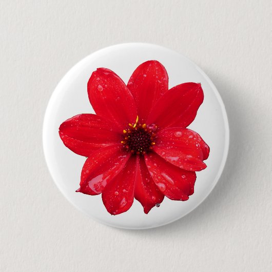 Dahlia in de regen ronde button 5,7 cm (Voorkant)