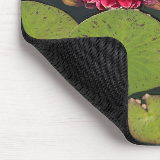 Dahlia in Pond Muismat (Hoek)