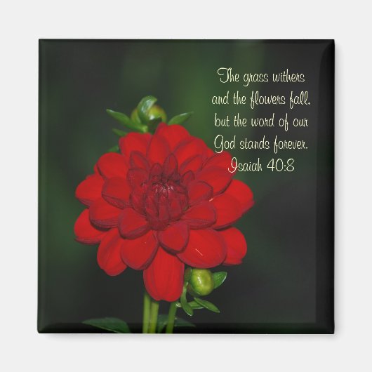 Dahlia Isaiah 40:8 Magneet (Voorkant)