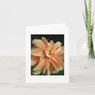 Dahlia Kaart