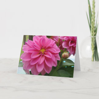 Dahlia Kaart Hallo Basic