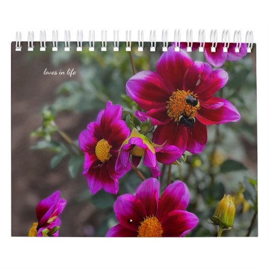 Dahlia Kalender (Hoes)
