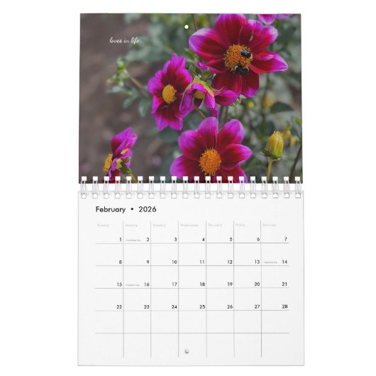 Dahlia Kalender (Feb 2026)