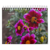 Dahlia Kalender (Hoes)