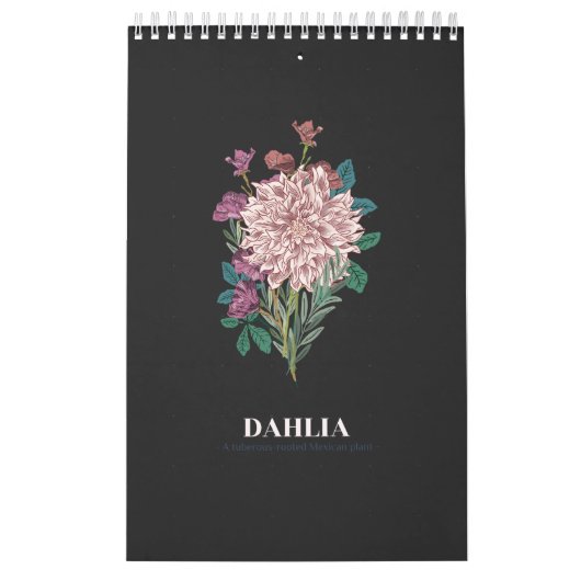 DAHLIA KALENDER (Hoes)