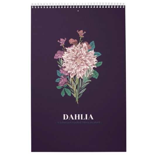 DAHLIA KALENDER (Hoes)