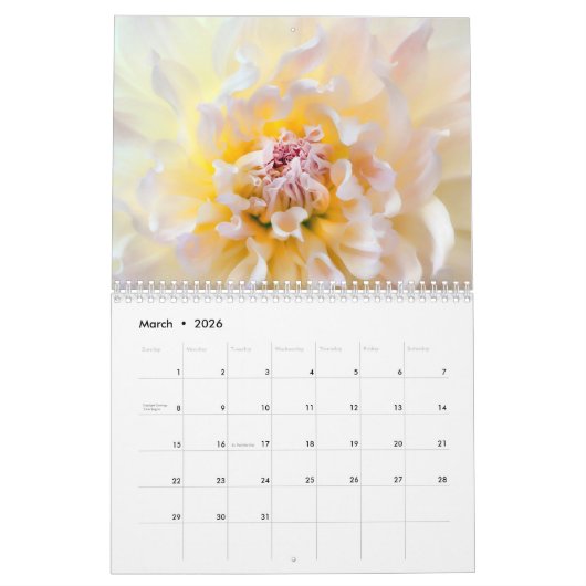 Dahlia Kalender 2025 (Mar 2026)