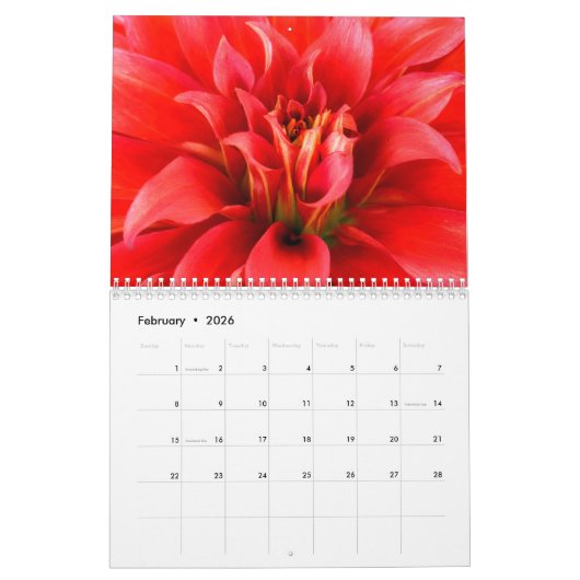 Dahlia Kalender 2025 (Feb 2026)