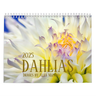 Dahlia Kalender 2025